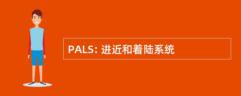 PALS: 进近和着陆系统