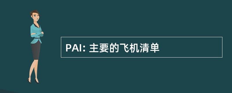 PAI: 主要的飞机清单