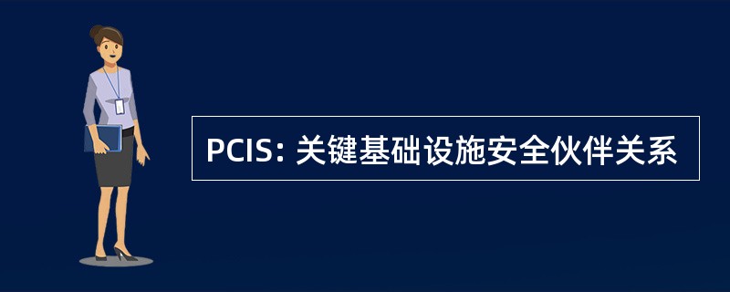 PCIS: 关键基础设施安全伙伴关系