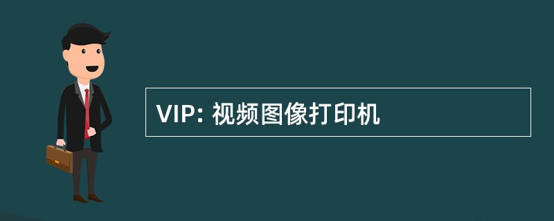 VIP: 视频图像打印机