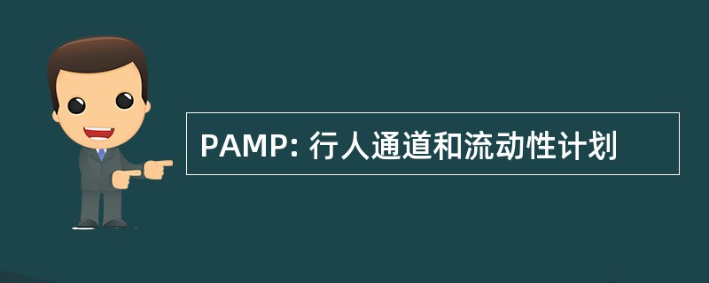 PAMP: 行人通道和流动性计划