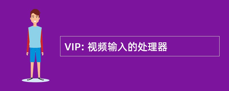 VIP: 视频输入的处理器