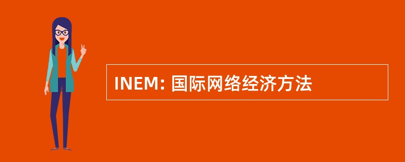 INEM: 国际网络经济方法