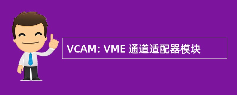 VCAM: VME 通道适配器模块