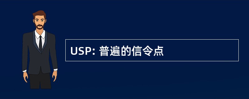 USP: 普遍的信令点