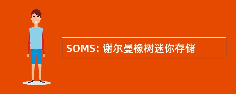 SOMS: 谢尔曼橡树迷你存储