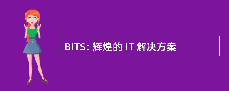 BITS: 辉煌的 IT 解决方案