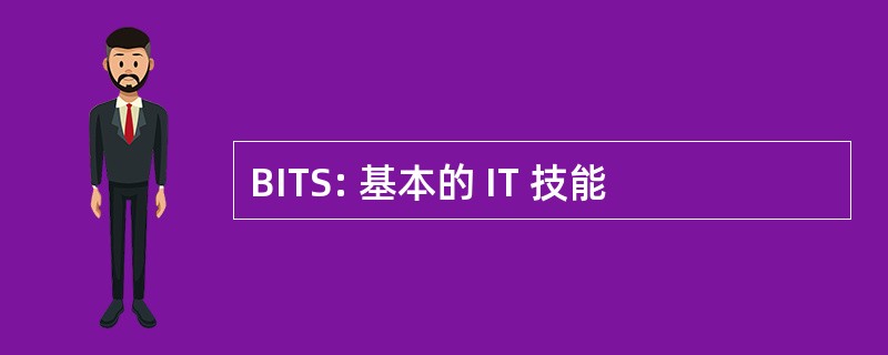 BITS: 基本的 IT 技能