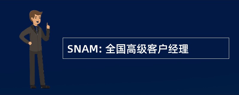 SNAM: 全国高级客户经理