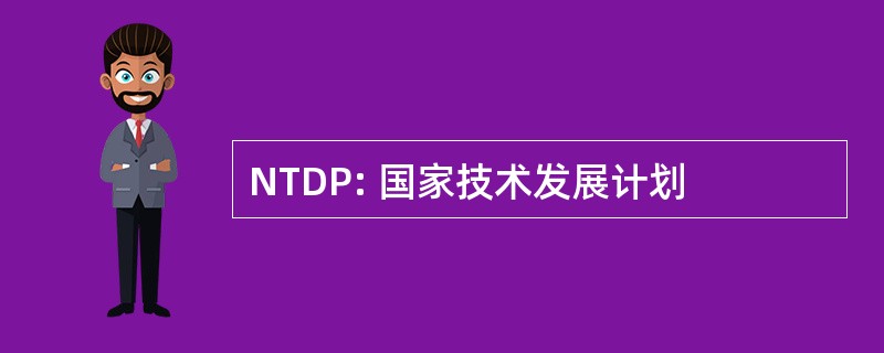 NTDP: 国家技术发展计划