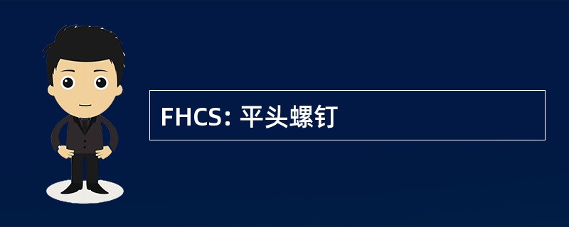 FHCS: 平头螺钉