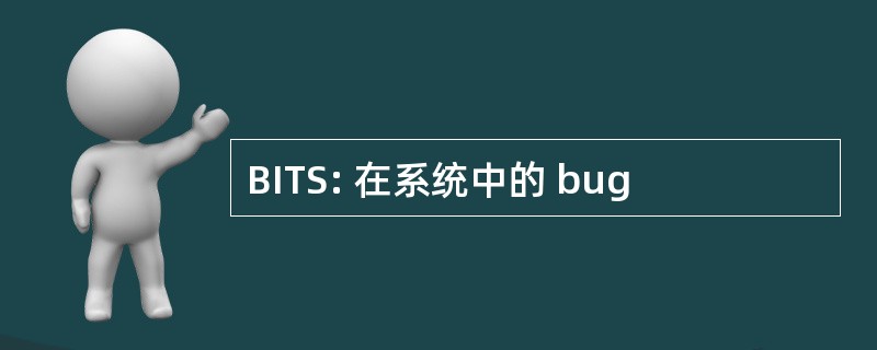 BITS: 在系统中的 bug