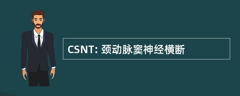 CSNT: 颈动脉窦神经横断