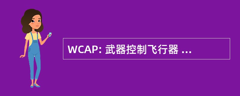 WCAP: 武器控制飞行器 & 系统互通对齐程序