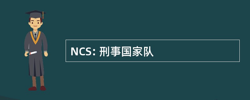 NCS: 刑事国家队