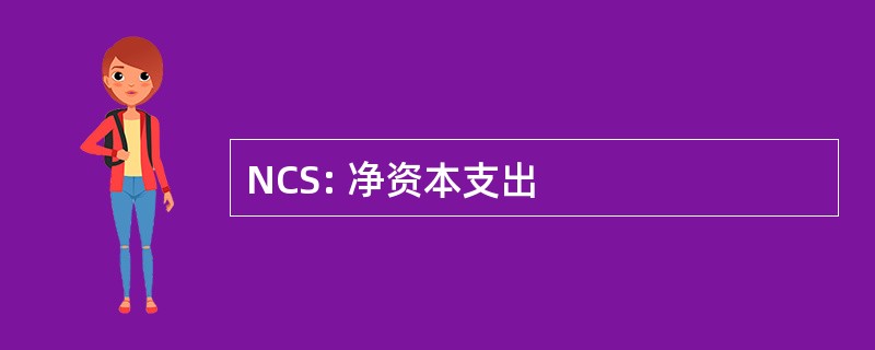 NCS: 净资本支出