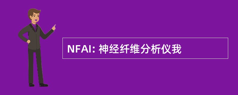 NFAI: 神经纤维分析仪我