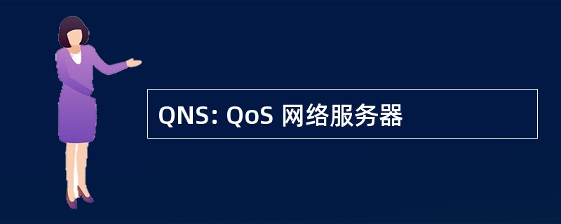 QNS: QoS 网络服务器