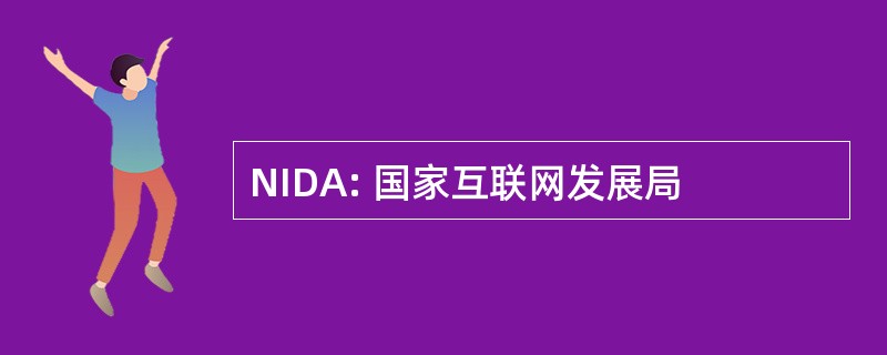 NIDA: 国家互联网发展局