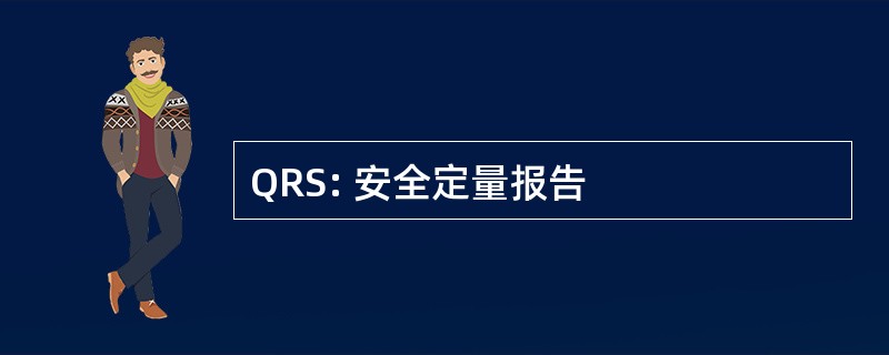 QRS: 安全定量报告