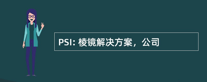 PSI: 棱镜解决方案，公司