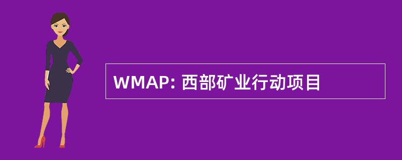 WMAP: 西部矿业行动项目