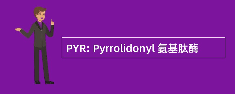 PYR: Pyrrolidonyl 氨基肽酶