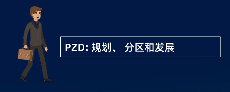 PZD: 规划、 分区和发展