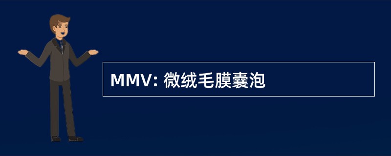 MMV: 微绒毛膜囊泡