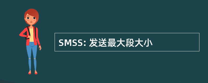 SMSS: 发送最大段大小