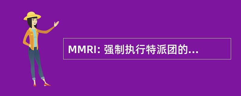 MMRI: 强制执行特派团的规则项目