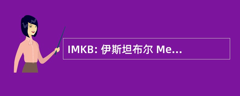 IMKB: 伊斯坦布尔 Menkul Kiymetler Borsasi