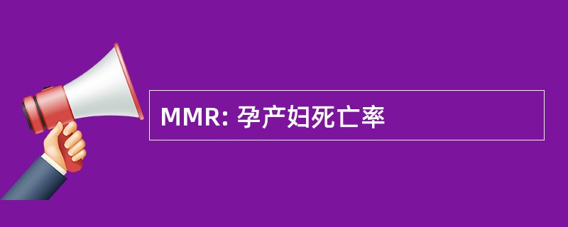 MMR: 孕产妇死亡率