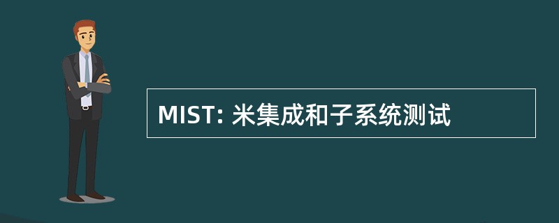 MIST: 米集成和子系统测试