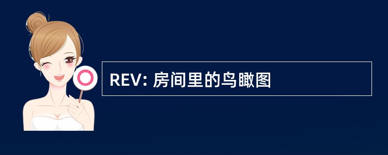 REV: 房间里的鸟瞰图