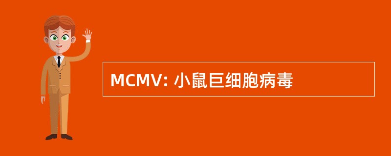 MCMV: 小鼠巨细胞病毒