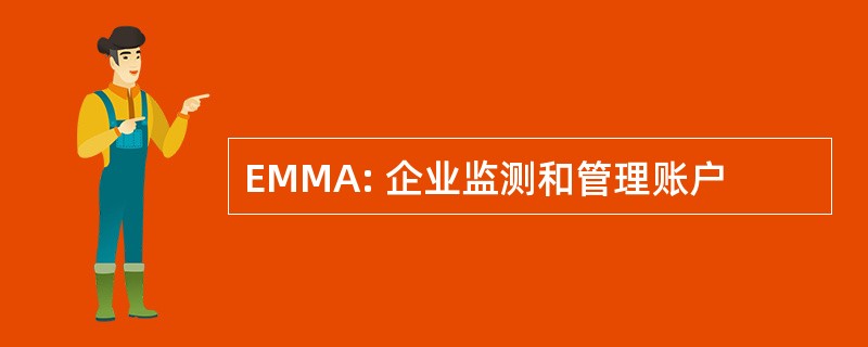 EMMA: 企业监测和管理账户