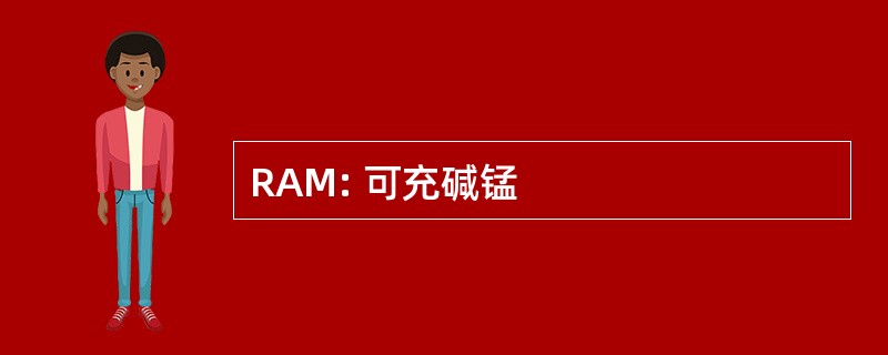 RAM: 可充碱锰