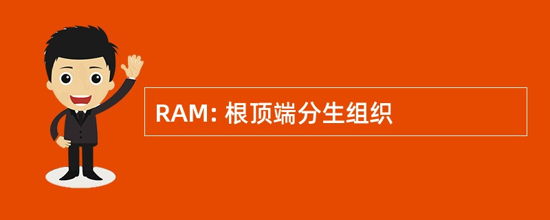 RAM: 根顶端分生组织