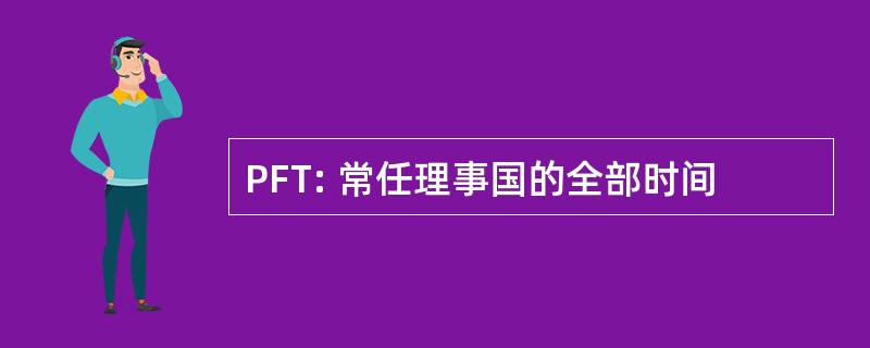 PFT: 常任理事国的全部时间