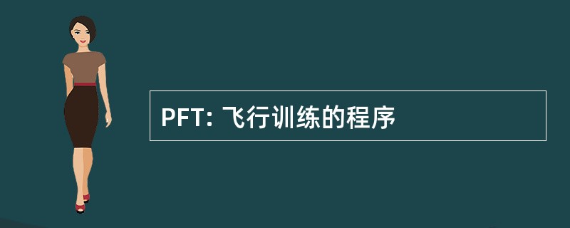 PFT: 飞行训练的程序