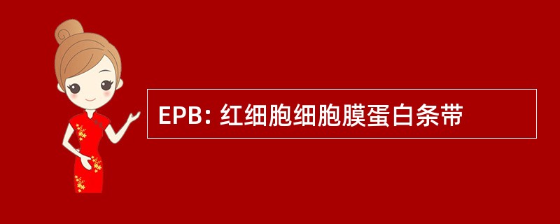 EPB: 红细胞细胞膜蛋白条带