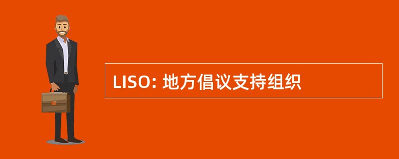 LISO: 地方倡议支持组织