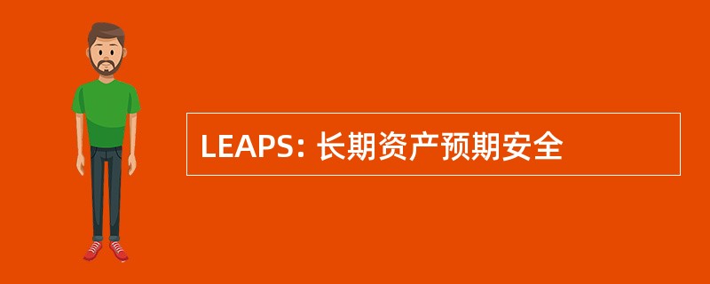 LEAPS: 长期资产预期安全