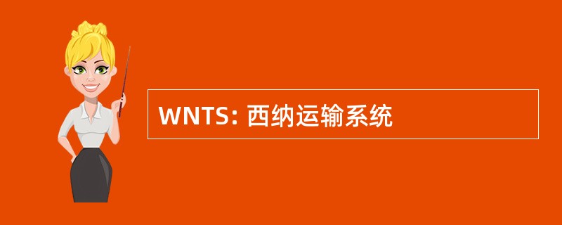 WNTS: 西纳运输系统