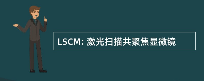 LSCM: 激光扫描共聚焦显微镜