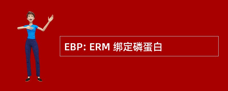 EBP: ERM 绑定磷蛋白