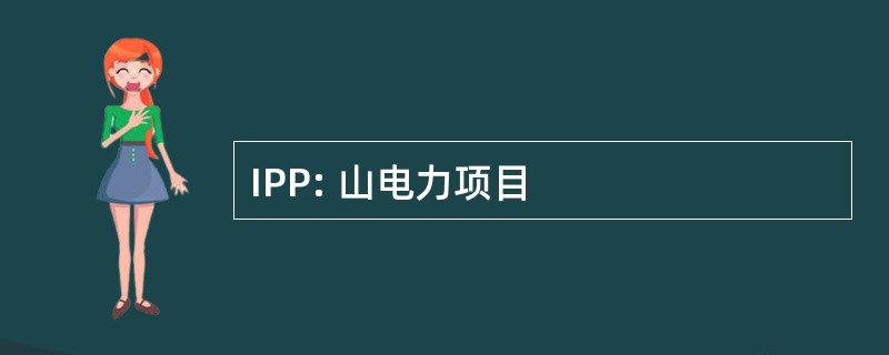 IPP: 山电力项目