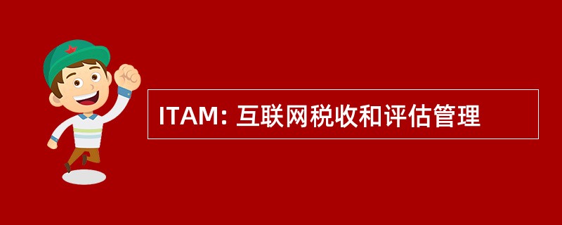 ITAM: 互联网税收和评估管理