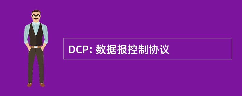 DCP: 数据报控制协议